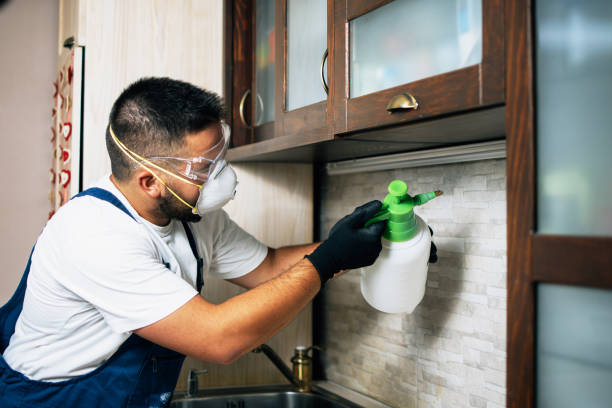 Best Bed Bug Extermination  in Shafer, MN