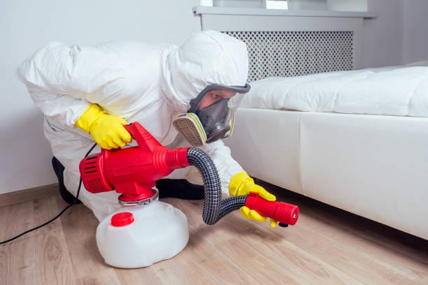 Best Pest Prevention Services  in Shafer, MN