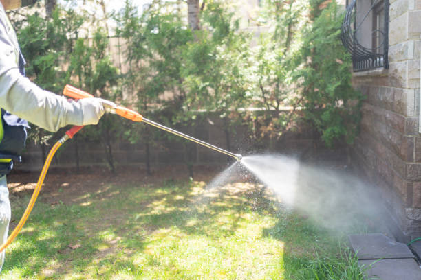 Best Wildlife Control Services  in Shafer, MN