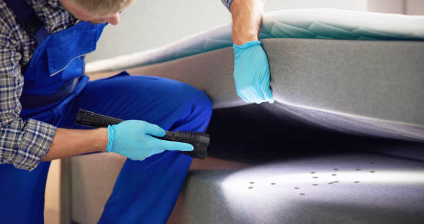 Pest Control Cost in Shafer, MN
