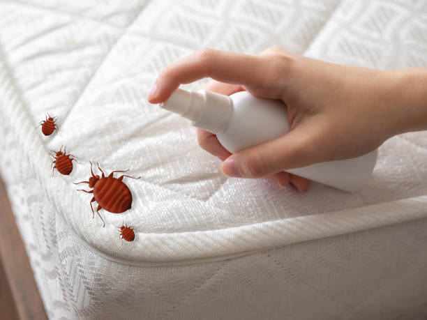 Best Pest Removal Services  in Shafer, MN