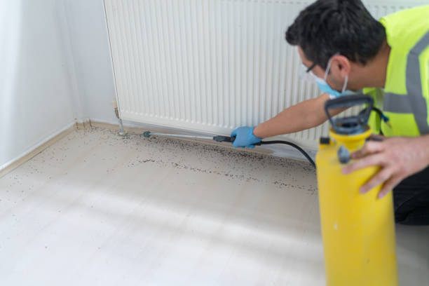 Best Residential Pest Control  in Shafer, MN