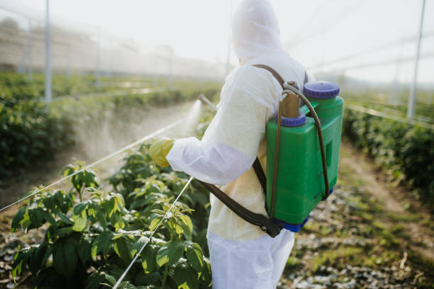 Best Local Pest Control Services  in Shafer, MN